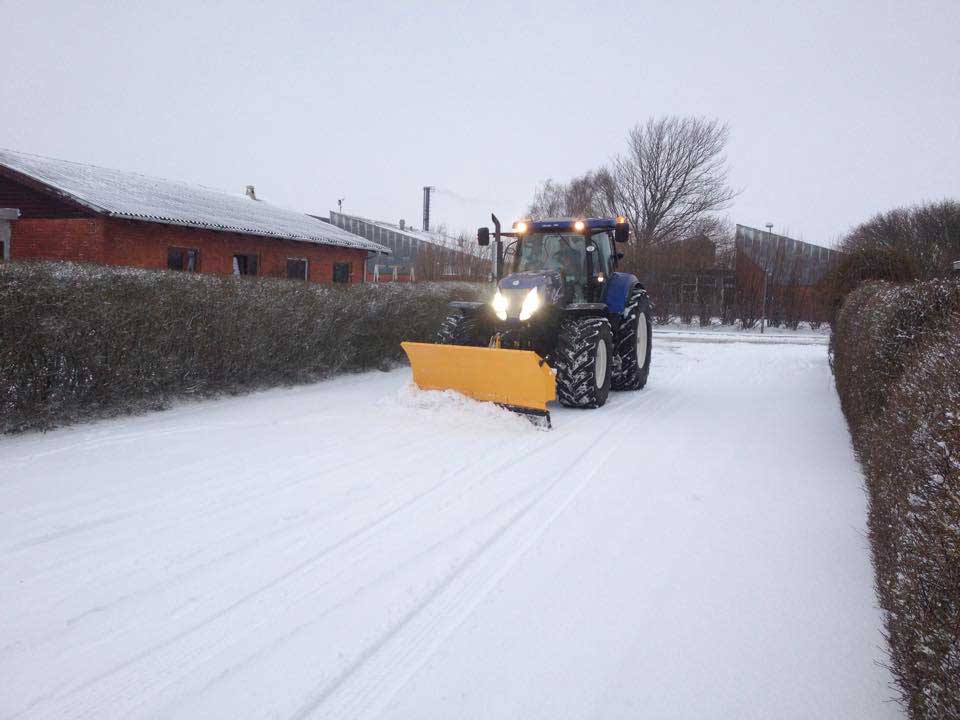 snow3